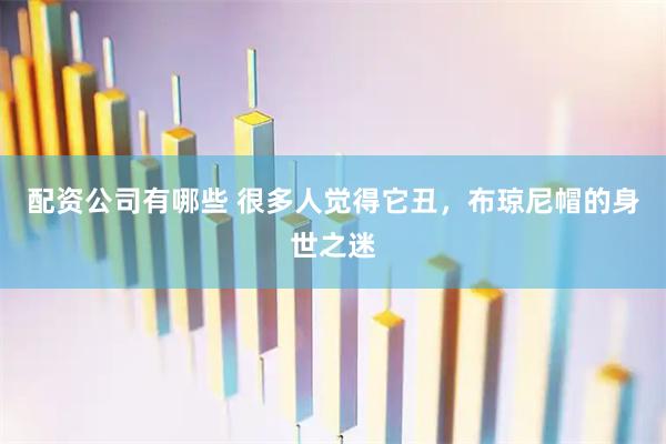 配资公司有哪些 很多人觉得它丑，布琼尼帽的身世之迷