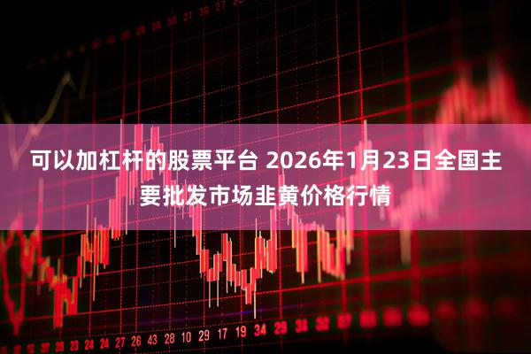 可以加杠杆的股票平台 2026年1月23日全国主要批发市场韭黄价格行情